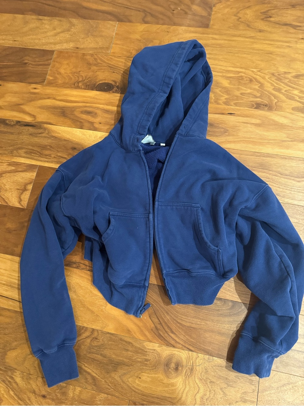 Aritzia Hoodie
